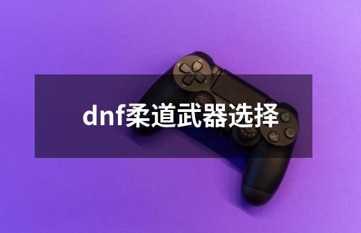dnf柔道武器选择-第1张-游戏资讯-启嘟网